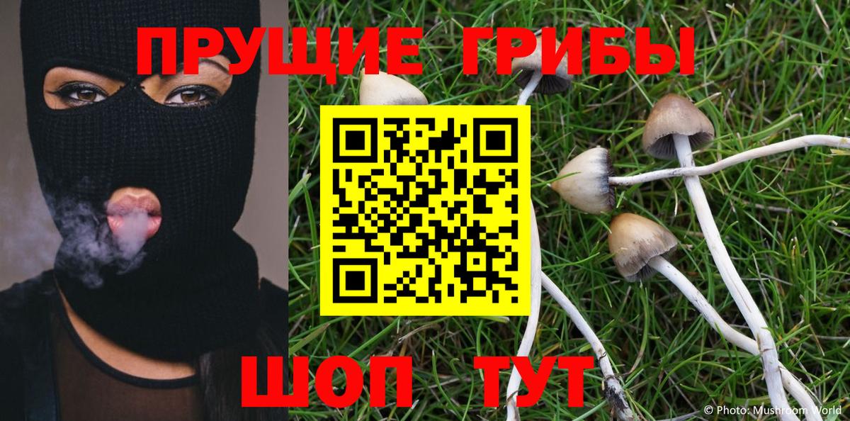 Саранск  Псилоцибиновые грибы Magic Shrooms  Галлюциногенные грибы Psilocybine cubensis  Вход с VPN 